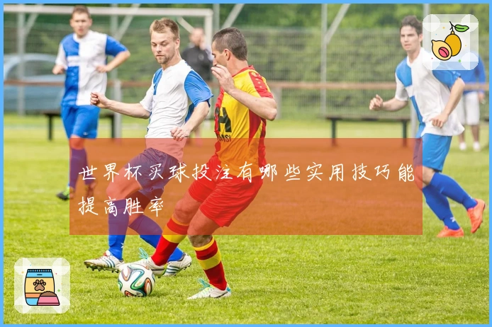 世界杯买球投注有哪些实用技巧能提高胜率