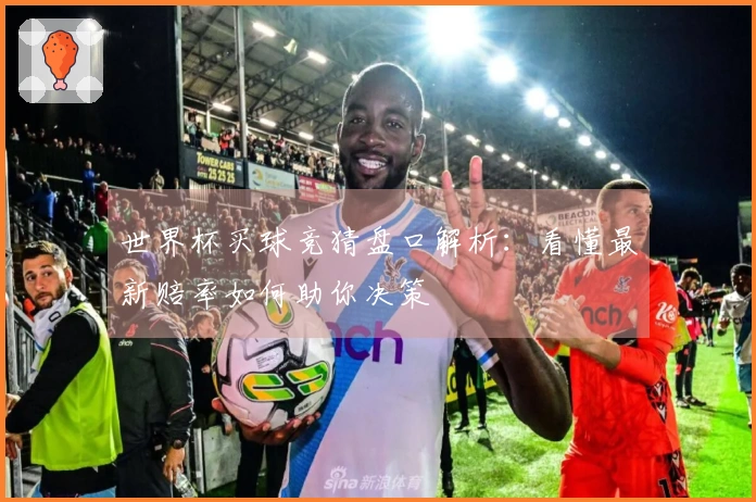 世界杯买球竞猜盘口解析：看懂最新赔率如何助你决策