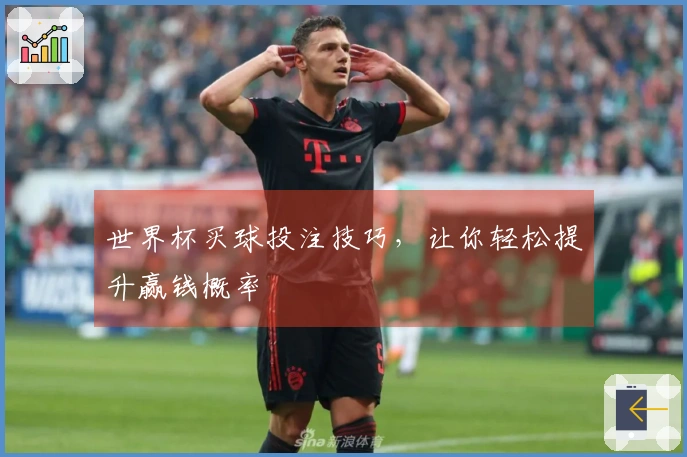 世界杯买球投注技巧，让你轻松提升赢钱概率
