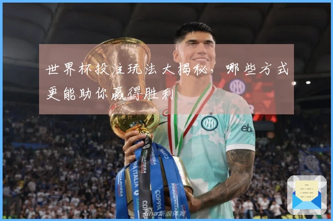 世界杯投注玩法大揭秘，哪些方式更能助你赢得胜利