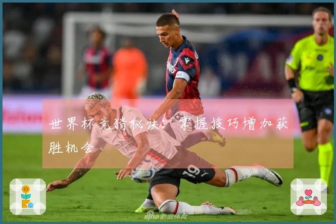 世界杯竞猜秘诀：掌握技巧增加获胜机会