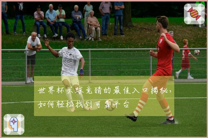 世界杯买球竞猜的最佳入口揭秘，如何轻松找到可靠平台
