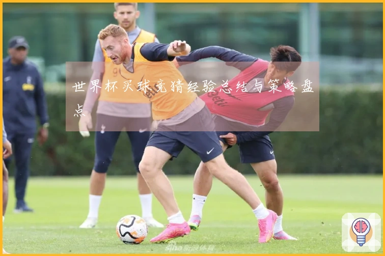 世界杯买球竞猜经验总结与策略盘点