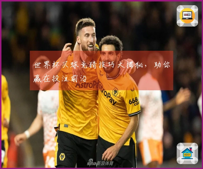 世界杯买球竞猜技巧大揭秘，助你赢在投注前沿