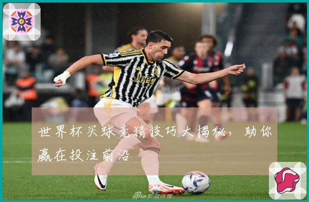 世界杯买球竞猜技巧大揭秘，助你赢在投注前沿